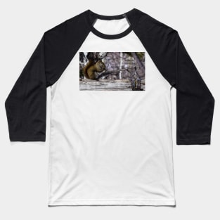 Red Squirrel on a Fence. Baseball T-Shirt